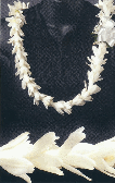 tuberose lei