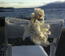floral chair bow