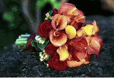 clutch bouquet of mini callas and roses