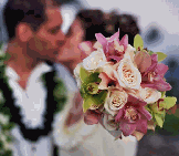 green and blush cymbidium orchid bouquet with roses
