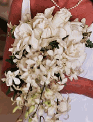 cascading bouquet of gardenias and white dendrobium orchids